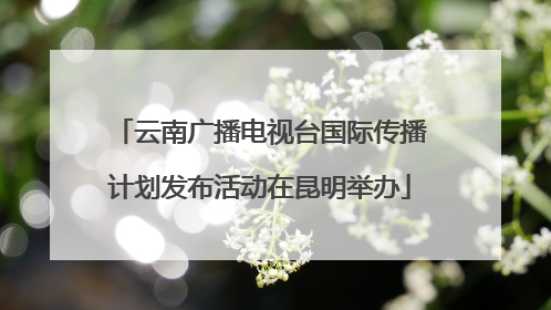 云南广播电视台国际传播计划发布活动在昆明举办