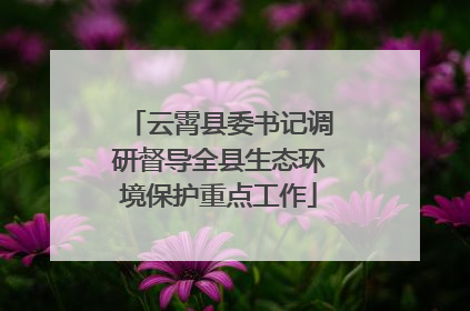 云霄县委书记调研督导全县生态环境保护重点工作