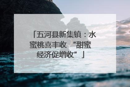 五河县新集镇：水蜜桃喜丰收 “甜蜜经济促增收”