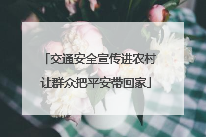 交通安全宣传进农村 让群众把平安带回家