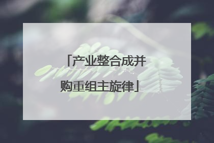 产业整合成并购重组主旋律