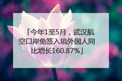 今年1至5月，武汉航空口岸免签入境外国人同比增长160.87%