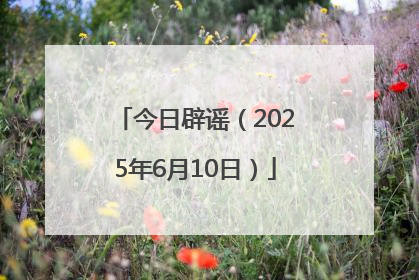 今日辟谣（2025年6月10日）