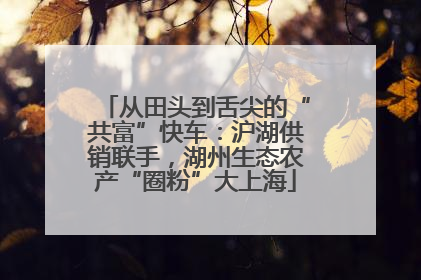 从田头到舌尖的“共富”快车：沪湖供销联手，湖州生态农产“圈粉”大上海