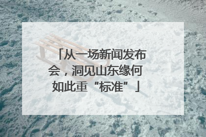 从一场新闻发布会，洞见山东缘何如此重“标准”