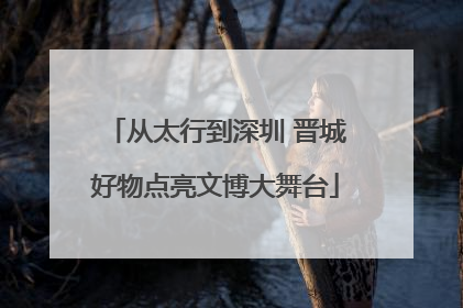 从太行到深圳 晋城好物点亮文博大舞台