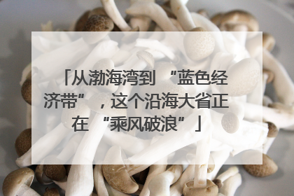 从渤海湾到 “蓝色经济带”，这个沿海大省正在 “乘风破浪”