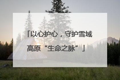以心护心，守护雪域高原“生命之脉”