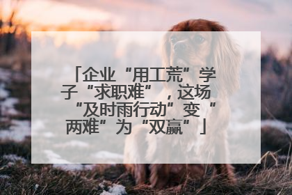 企业“用工荒”学子“求职难”，这场“及时雨行动”变“两难”为“双赢”