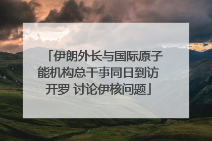伊朗外长与国际原子能机构总干事同日到访开罗 讨论伊核问题