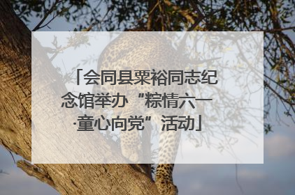 会同县粟裕同志纪念馆举办“粽情六一·童心向党”活动