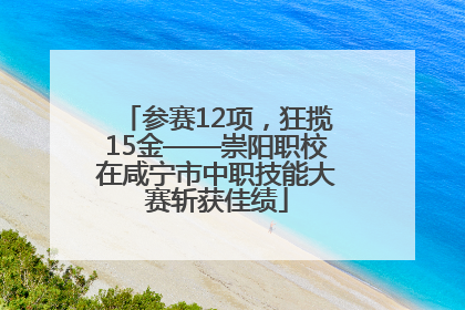 参赛12项，狂揽15金——崇阳职校在咸宁市中职技能大赛斩获佳绩