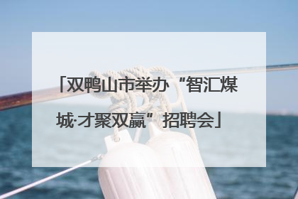 双鸭山市举办“智汇煤城·才聚双赢”招聘会