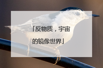 反物质，宇宙的镜像世界