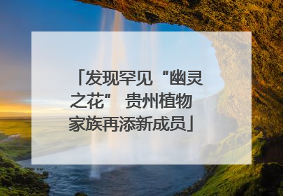 发现罕见“幽灵之花” 贵州植物家族再添新成员