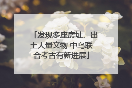发现多座房址、出土大量文物 中乌联合考古有新进展