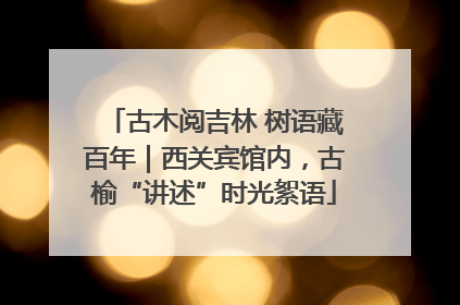 古木阅吉林 树语藏百年｜西关宾馆内，古榆“讲述”时光絮语