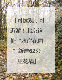 可远观，可近游！北京这处“水岸花园”新建62公里花墙