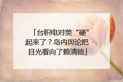 台积电对美“硬”起来了？岛内舆论把目光看向了赖清德