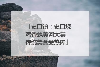 史口镇：史口烧鸡香飘黄河大集 传统美食受热捧
