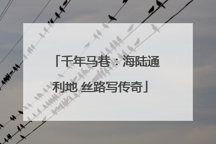 千年马巷：海陆通利地 丝路写传奇
