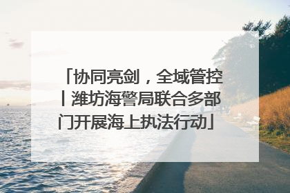协同亮剑，全域管控丨潍坊海警局联合多部门开展海上执法行动