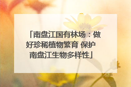 南盘江国有林场：做好珍稀植物繁育 保护南盘江生物多样性