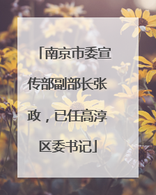 南京市委宣传部副部长张政，已任高淳区委书记