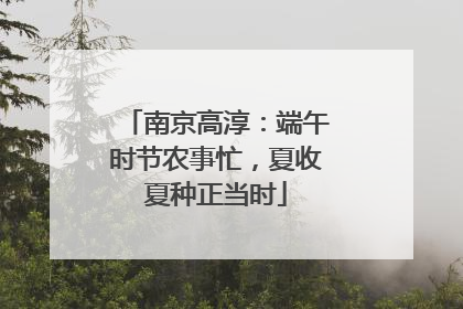 南京高淳：端午时节农事忙，夏收夏种正当时