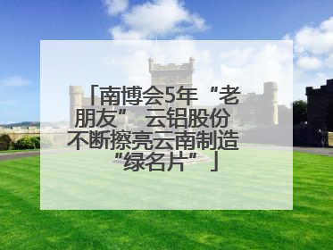 南博会5年“老朋友” 云铝股份不断擦亮云南制造“绿名片”