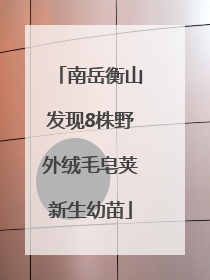 南岳衡山发现8株野外绒毛皂荚新生幼苗