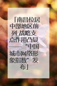 南昌位居中部地区前列 战略支点作用凸显——“中国城市网络形象指数”发布