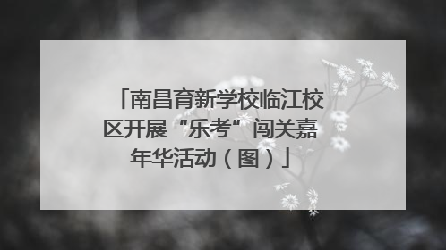 南昌育新学校临江校区开展“乐考”闯关嘉年华活动（图）