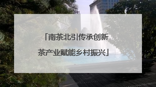 南茶北引传承创新 茶产业赋能乡村振兴