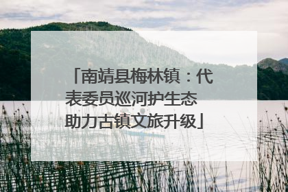 南靖县梅林镇：代表委员巡河护生态 助力古镇文旅升级
