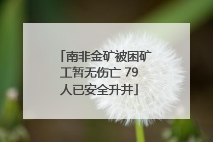 南非金矿被困矿工暂无伤亡 79人已安全升井