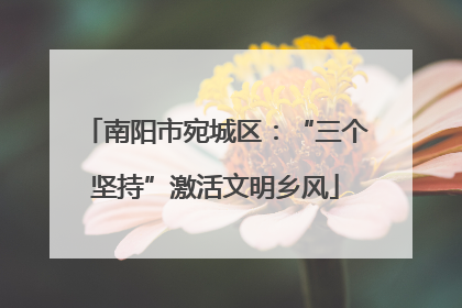 南阳市宛城区：“三个坚持”激活文明乡风