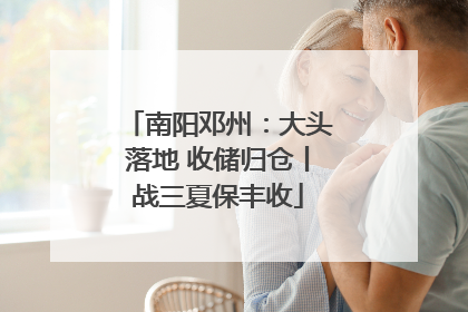 南阳邓州：大头落地 收储归仓丨战三夏保丰收