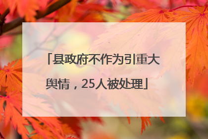 县政府不作为引重大舆情，25人被处理