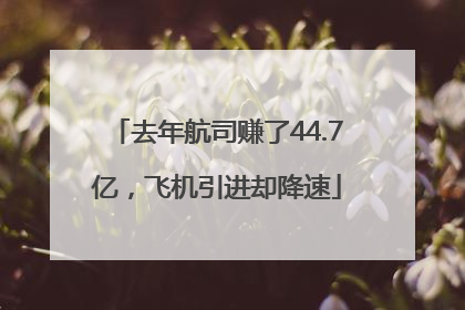 去年航司赚了44.7亿，飞机引进却降速