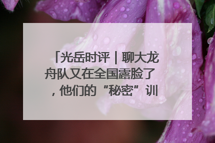 光岳时评｜聊大龙舟队又在全国露脸了，他们的“秘密”训练基地不是秘密！