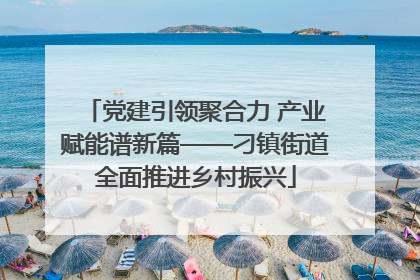 党建引领聚合力 产业赋能谱新篇——刁镇街道全面推进乡村振兴