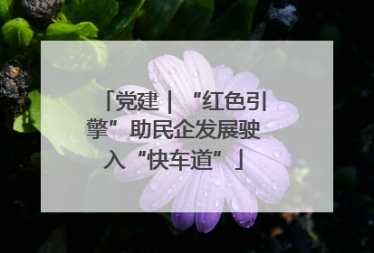 党建｜“红色引擎”助民企发展驶入“快车道”