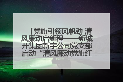 党旗引领风帆劲 清风廉动启新程——新城开集团新宇公司党支部启动“清风廉动党旗红”系列活动