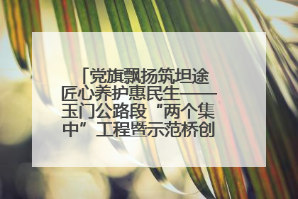 党旗飘扬筑坦途 匠心养护惠民生——玉门公路段“两个集中”工程暨示范桥创建项目圆满收官