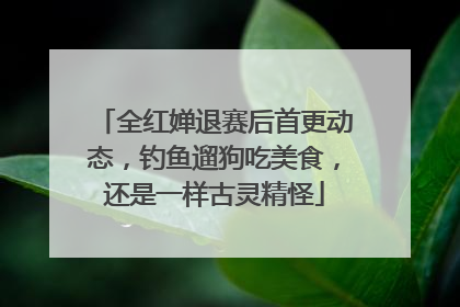 全红婵退赛后首更动态，钓鱼遛狗吃美食，还是一样古灵精怪