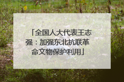 全国人大代表王志强：加强东北抗联革命文物保护利用