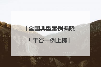 全国典型案例揭晓！平谷一例上榜