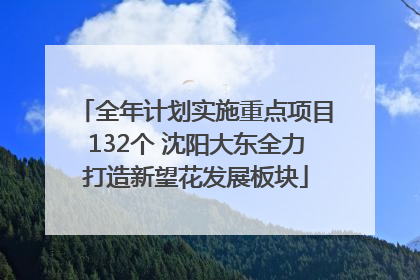 全年计划实施重点项目132个 沈阳大东全力打造新望花发展板块