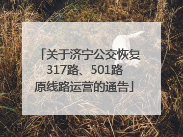 关于济宁公交恢复317路、501路原线路运营的通告